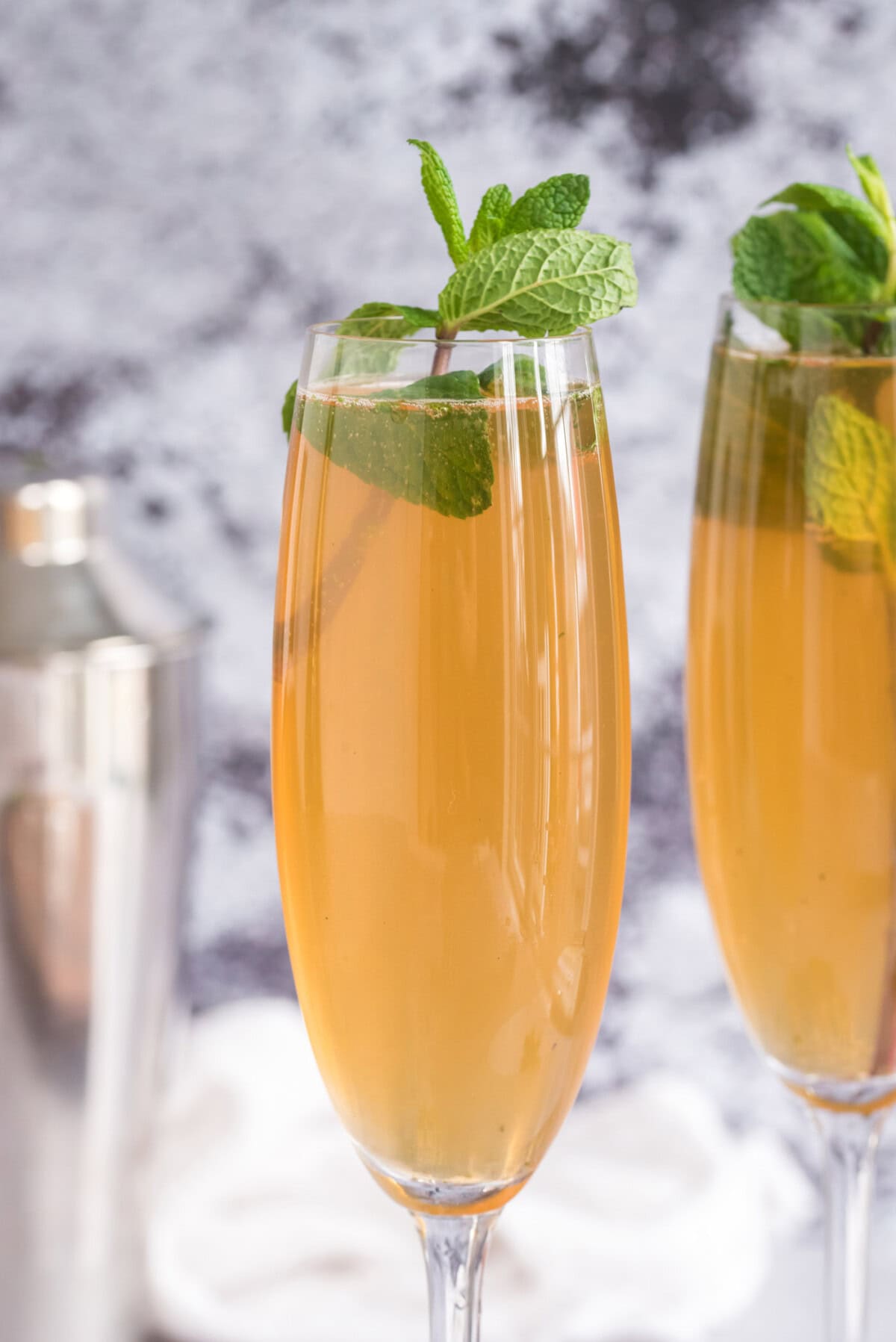 Close up photo of a Fizzy Julep