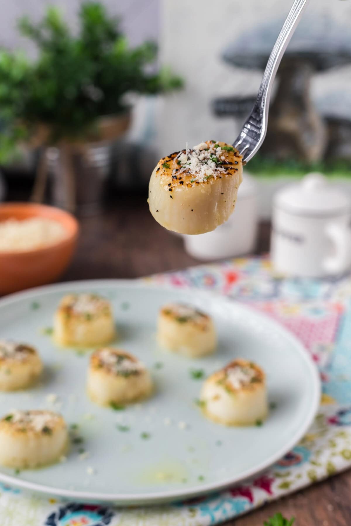 Broiled Scallop on a fork held above a plate of Broiled Scallops