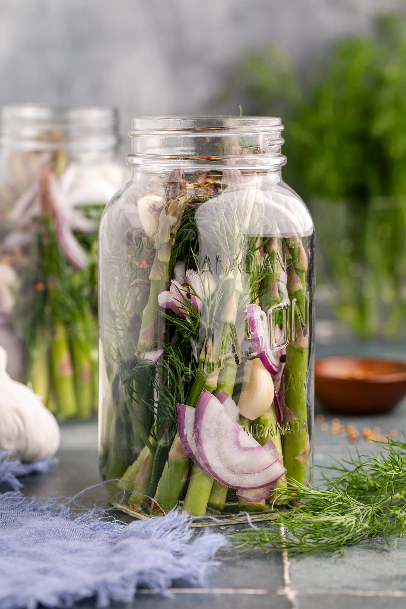 asparagus spears in jar with garlic, red onion, and fresh dill