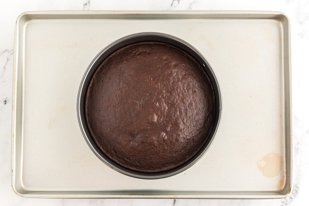 baked dark chocolate cake