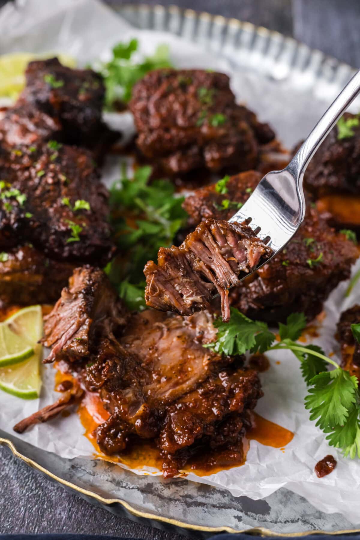 Fork pulling apart a Mexican Short Rib