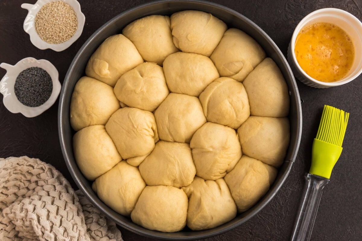 dough balls in a springform pan