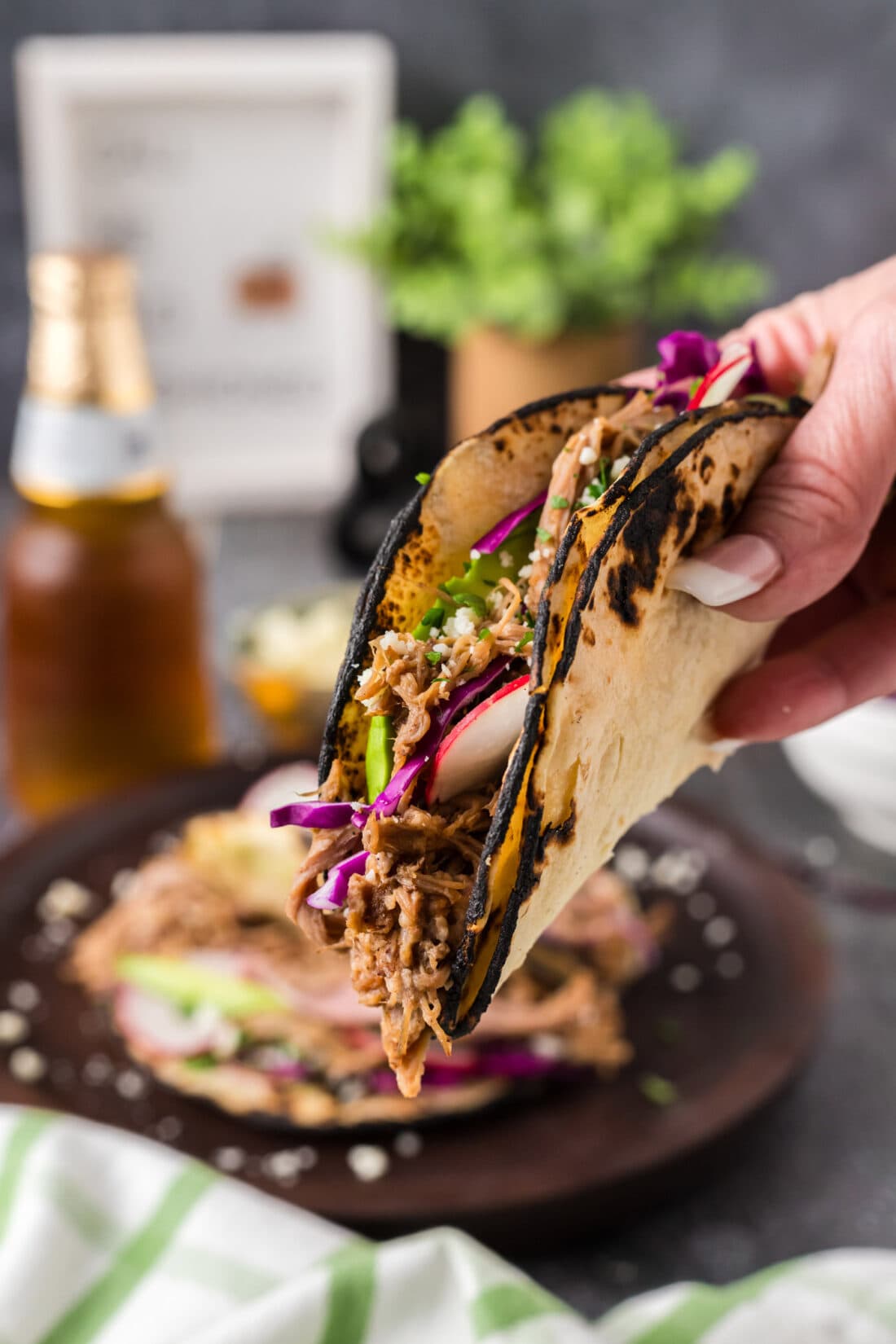 Hand holding up a Pulled Pork Taco