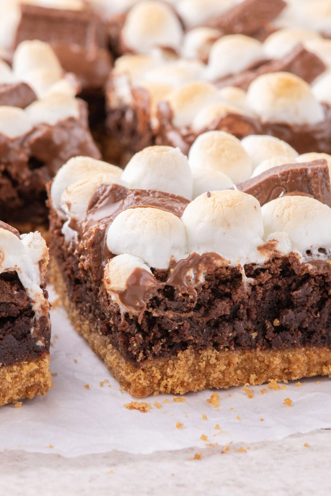Close up photo of a S'mores Brownie 