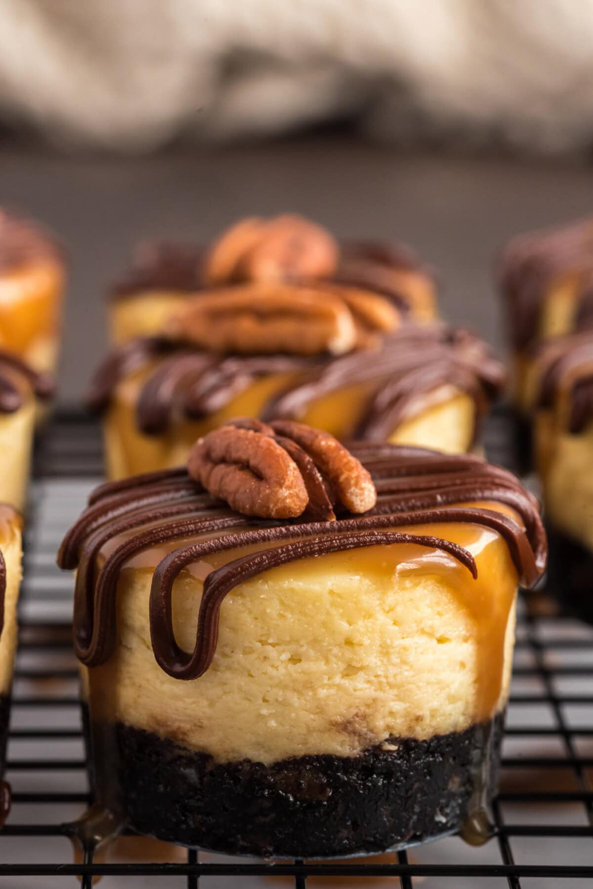 Close up photo of a Mini Turtle Cheesecake