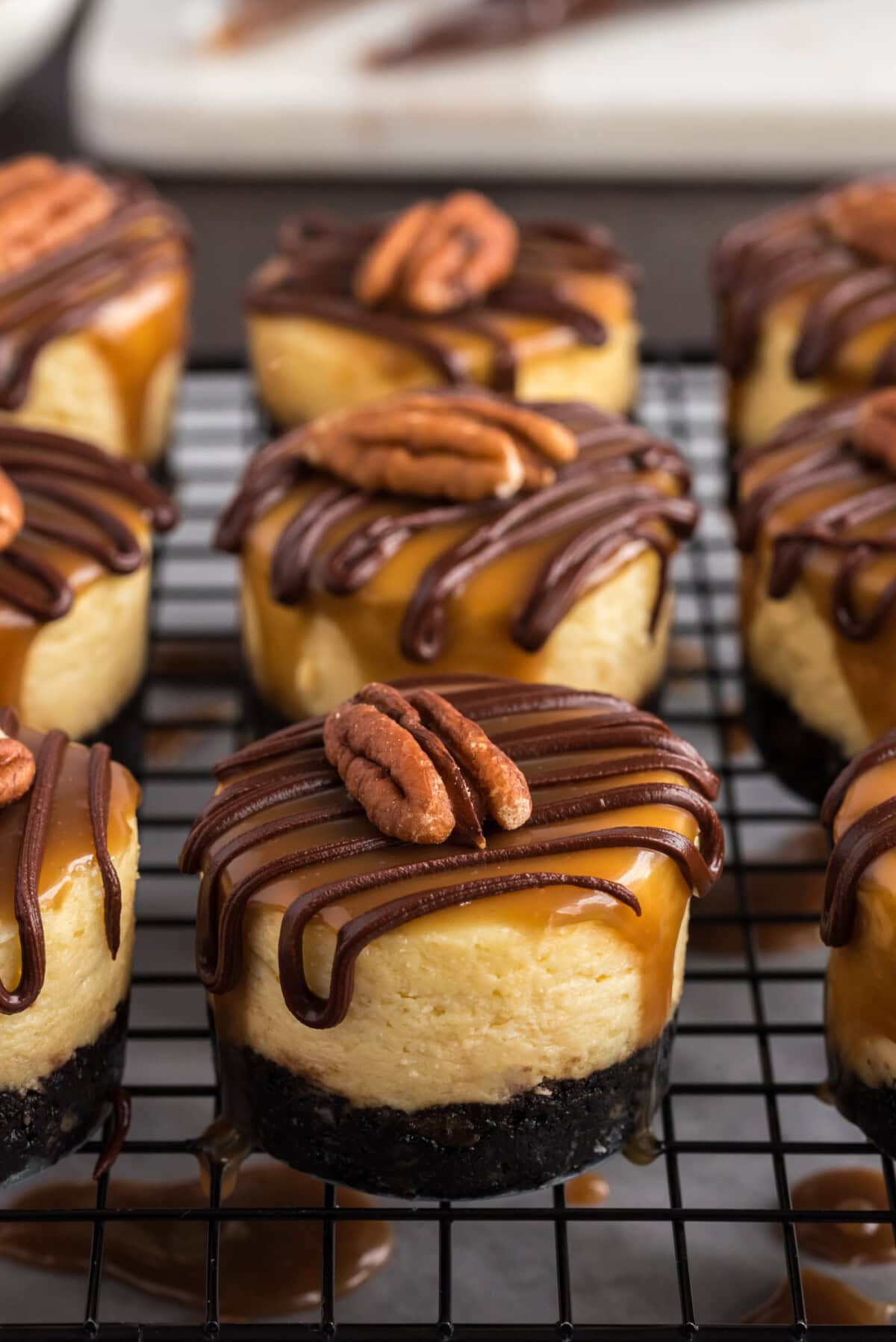 Mini Turtle Cheesecakes on a wire rack