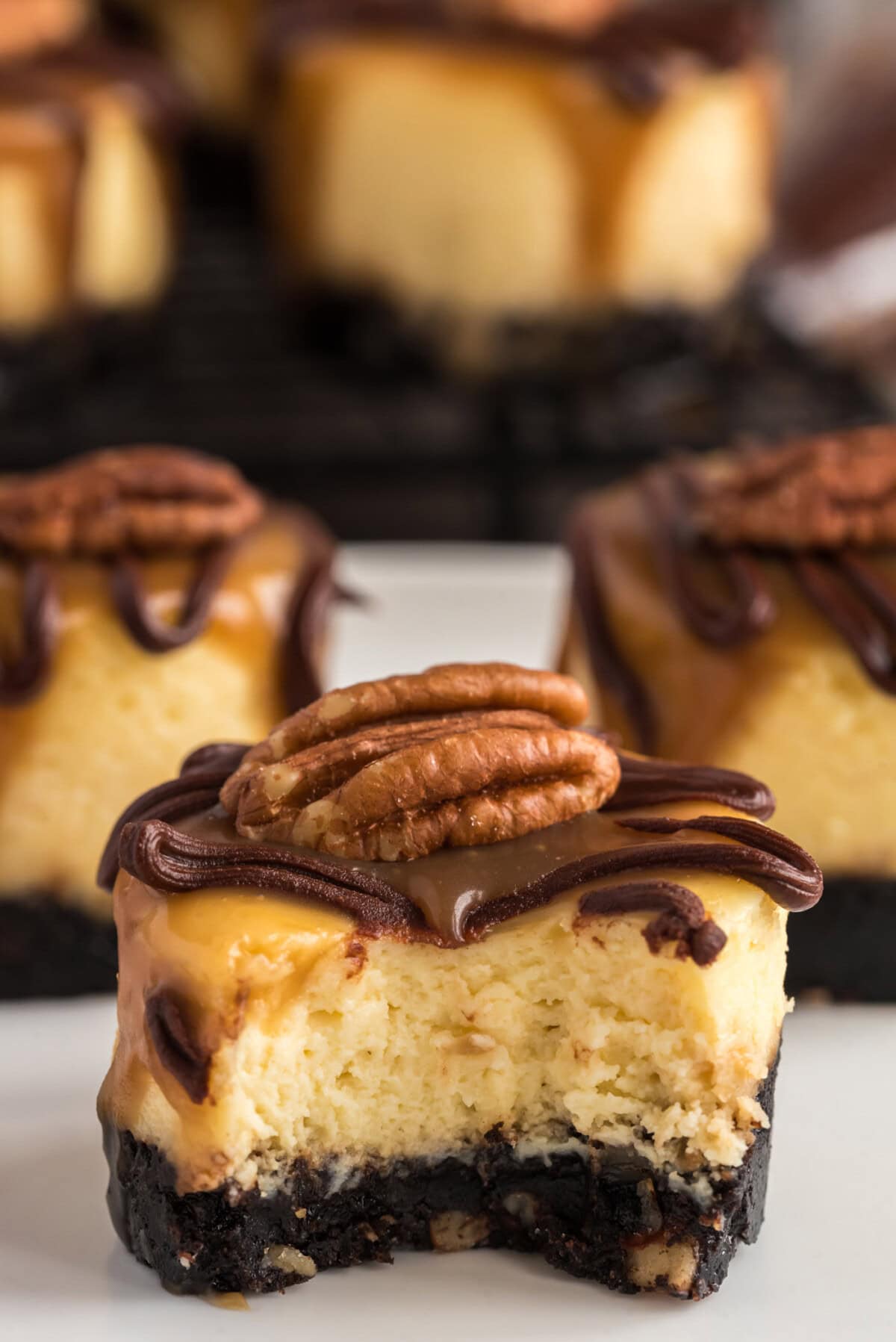 Close up photo of a Mini Turtle Cheesecake with a bite taken out