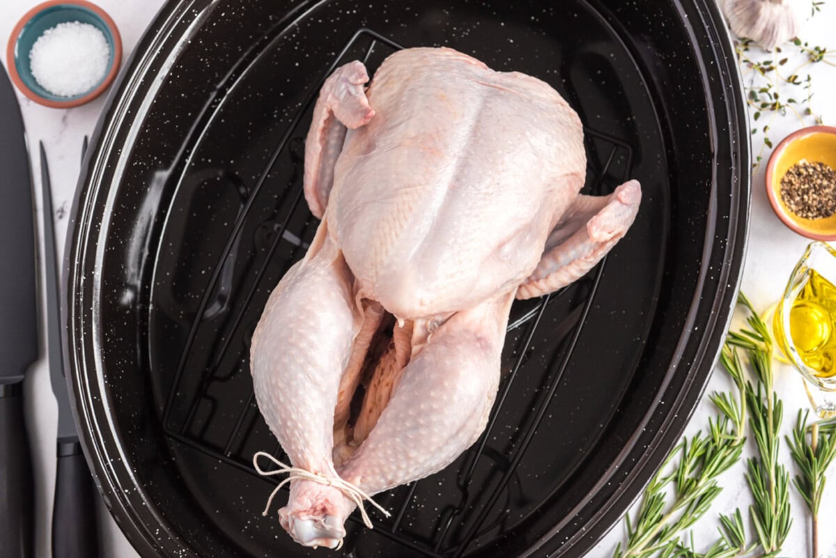 Whole chicken in a roasting pan tied with butchers twine