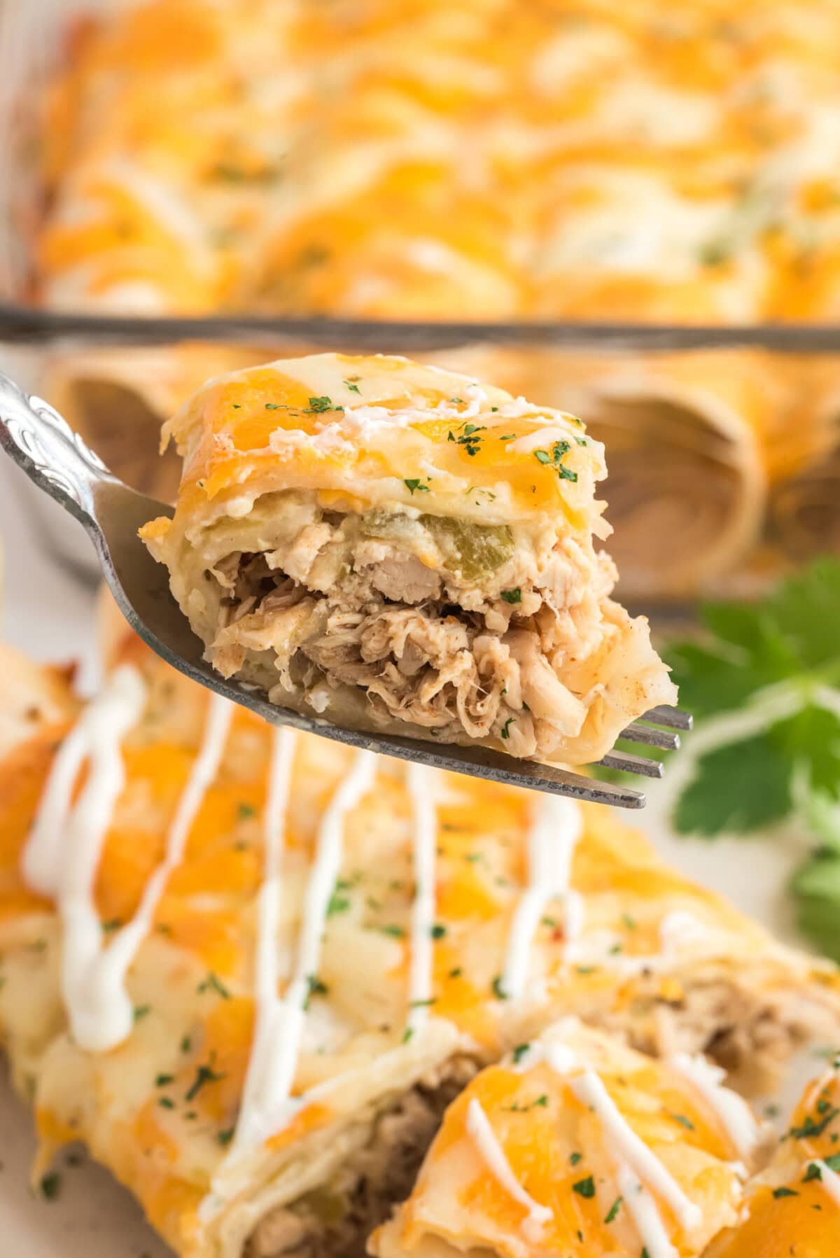 Piece of Shredded Chicken and Chile Enchilada on a fork