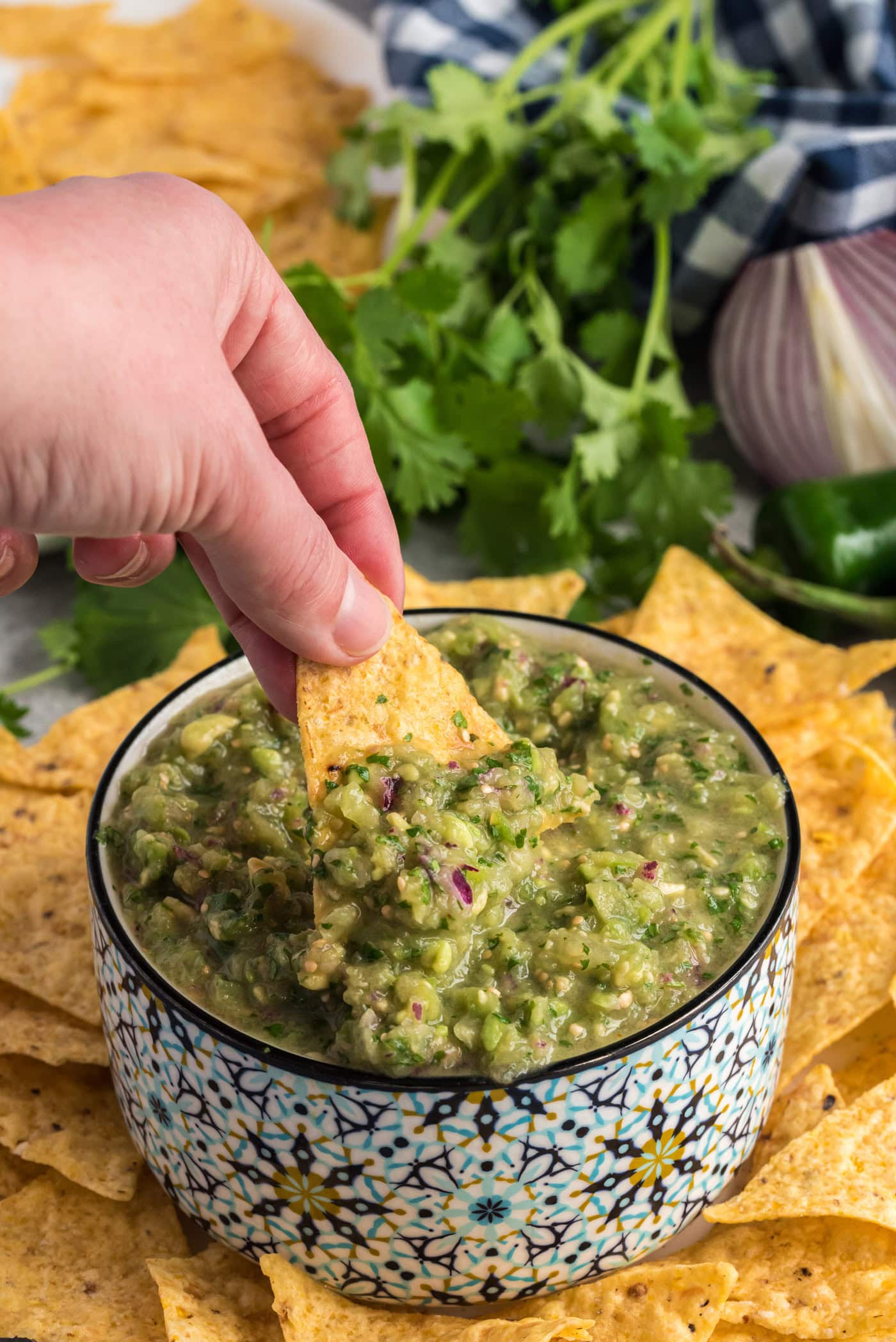 Tomatillo Onion Avocado Salsa - Amanda's Cookin' - Dips & Spreads