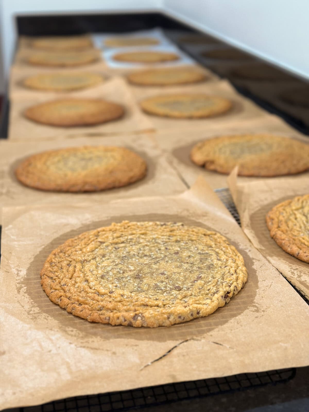 jumbo baked chocolate chip cookie layers