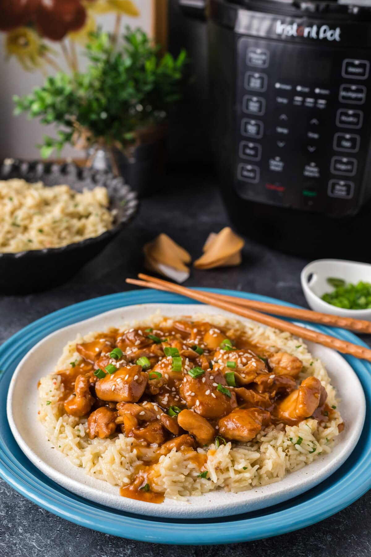 Plate of Instant Pot Bourbon Chicken plated over rice