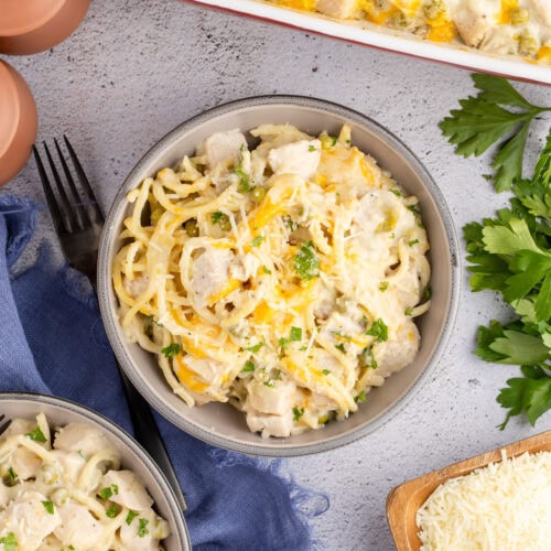 Close up photo of a bowl of Turkey Tetrazzini