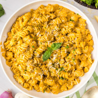 Close up photo of a bowl of Butternut Squash Pasta