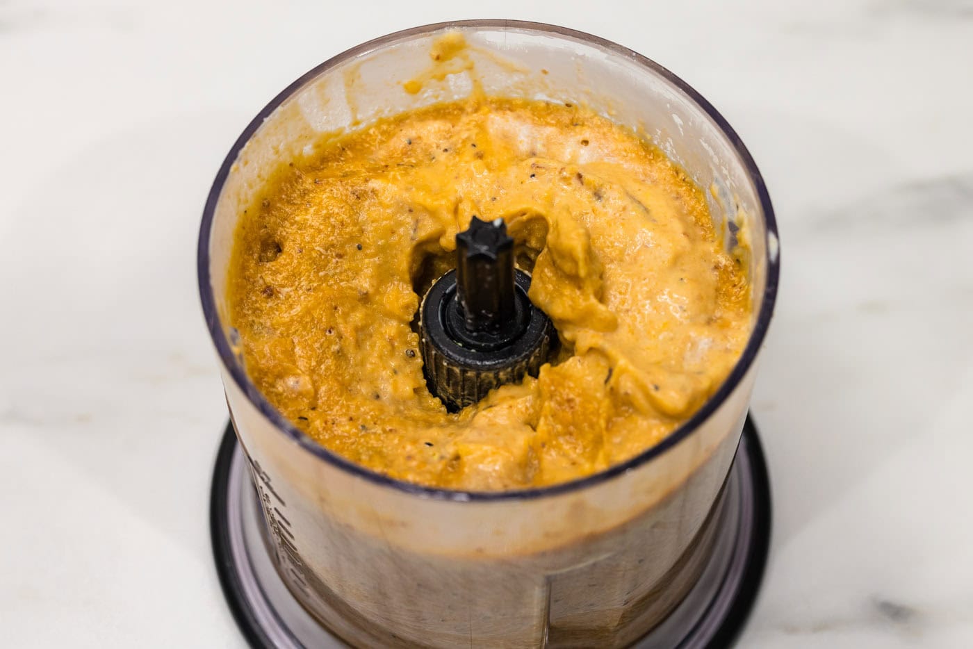 butternut squash pasta sauce in a mini food chopper