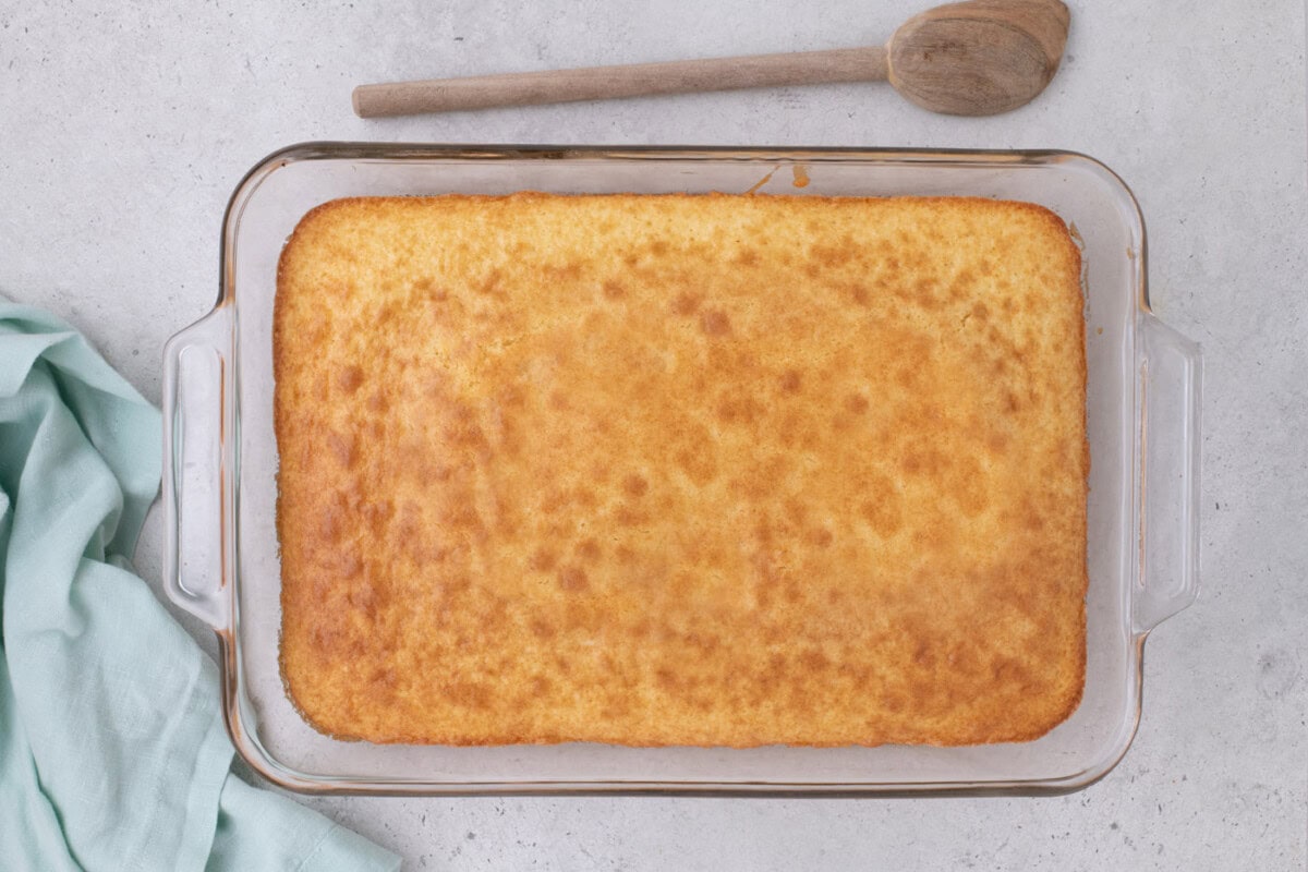 baked cake in a dish