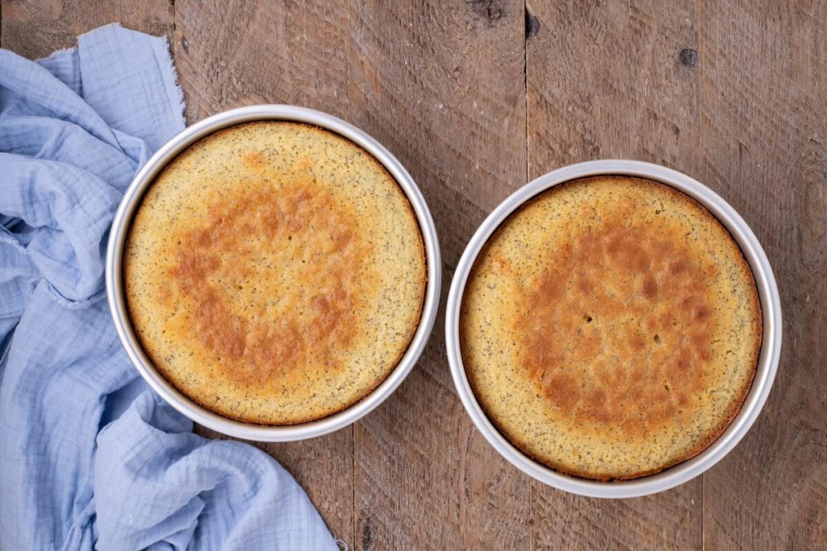 baked lemon poppy seeds cakes in a pan