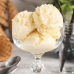 Homemade Vanilla Ice Cream in a sundae dish
