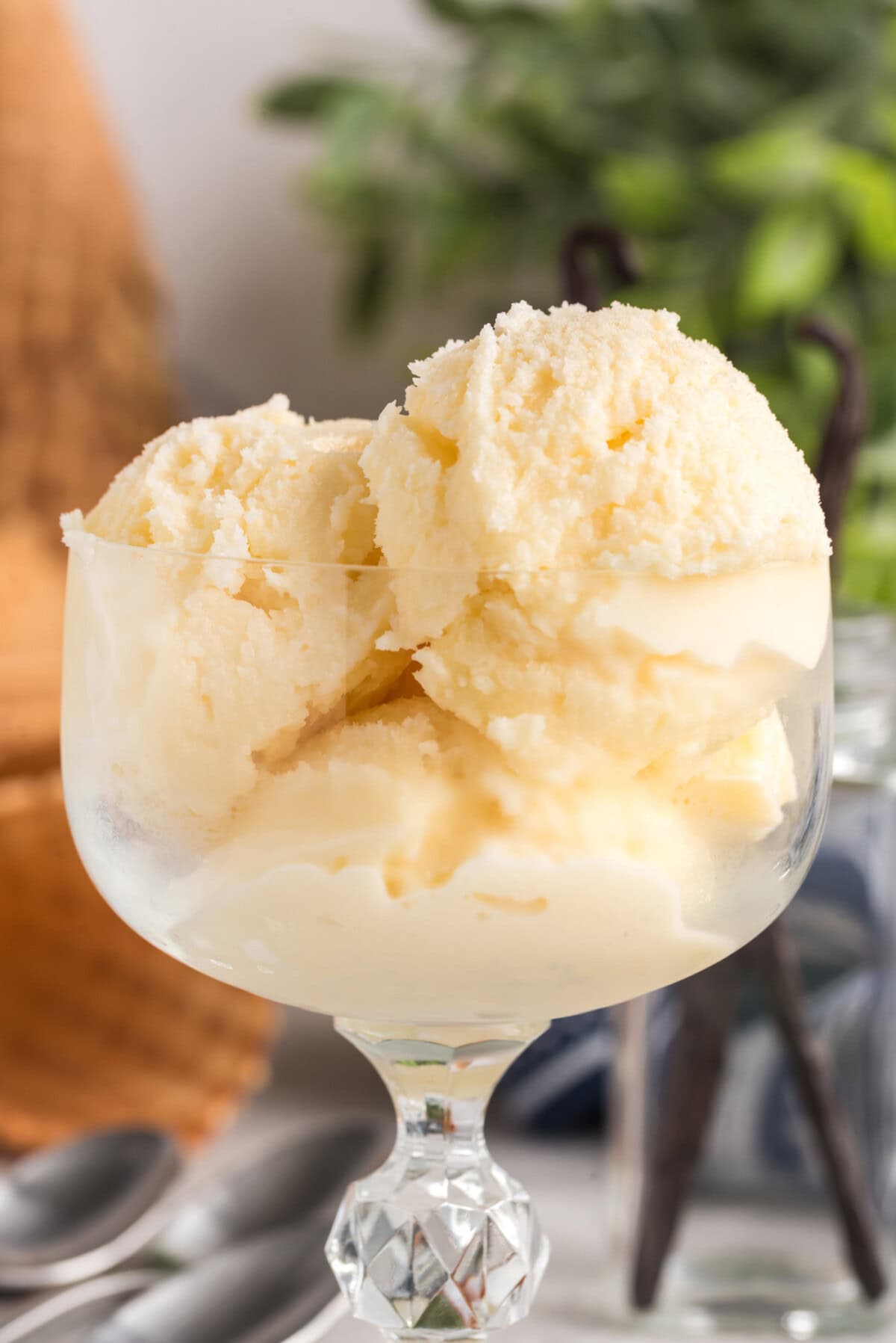 Close up photo of Homemade Vanilla Ice Cream in a sundae dish