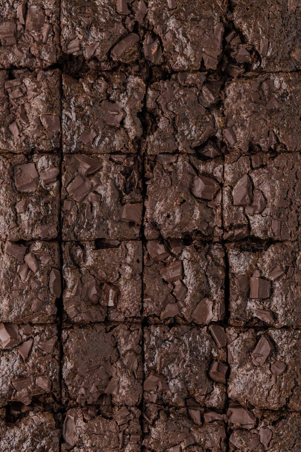 Close up photo of Zucchini Brownies cut into squares