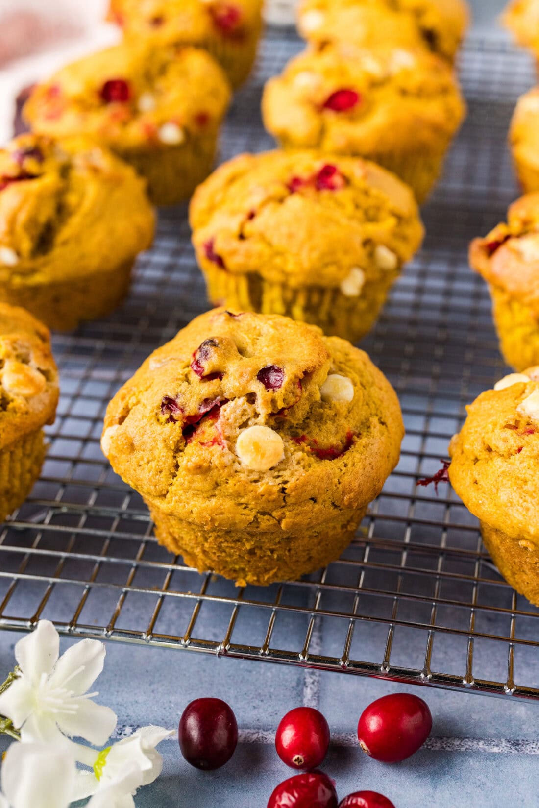 Close up photo of a Pumpkin Cranberry Muffin on a wire rack with more behind it
