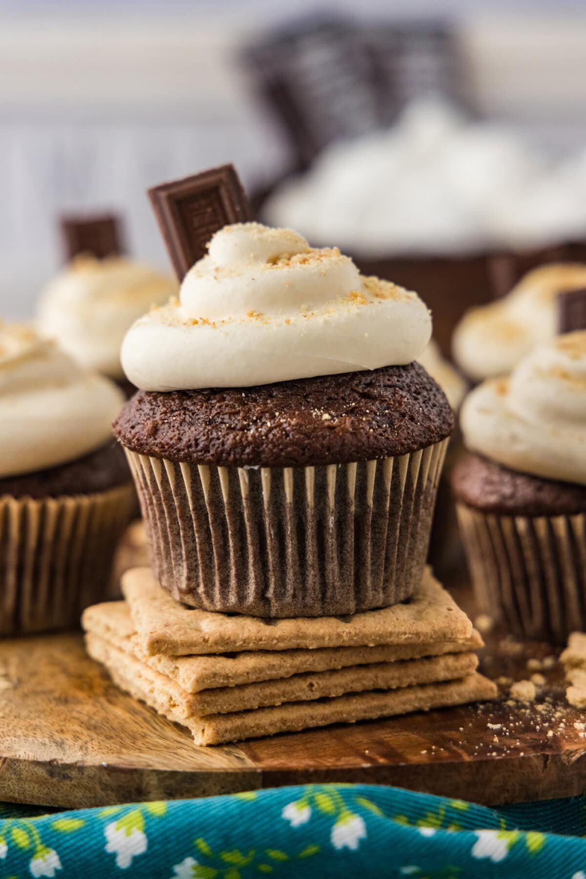 S'mores Cupcakes