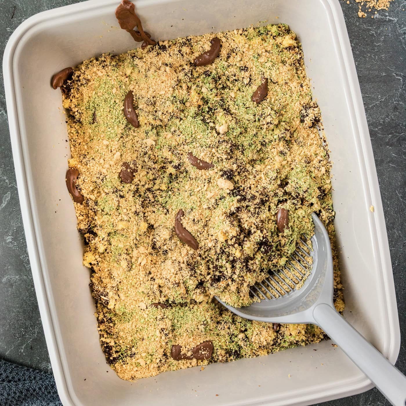 Kitty Litter Cake with a litter scoop in it