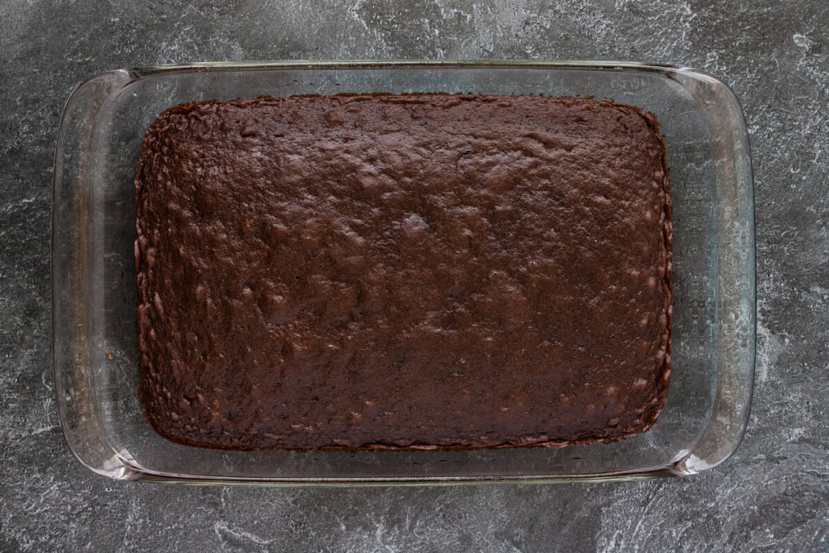 baked chocolate cake in a dish