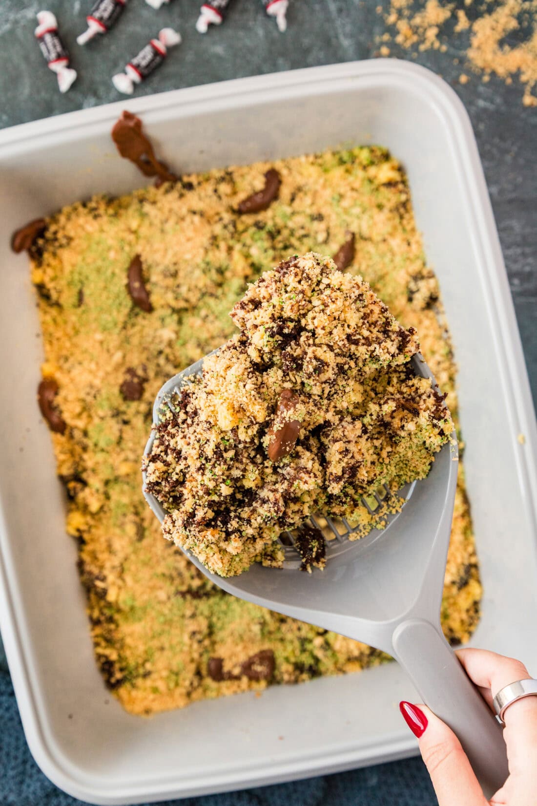 Litter scooper of Kitty Litter Cake held above the cake