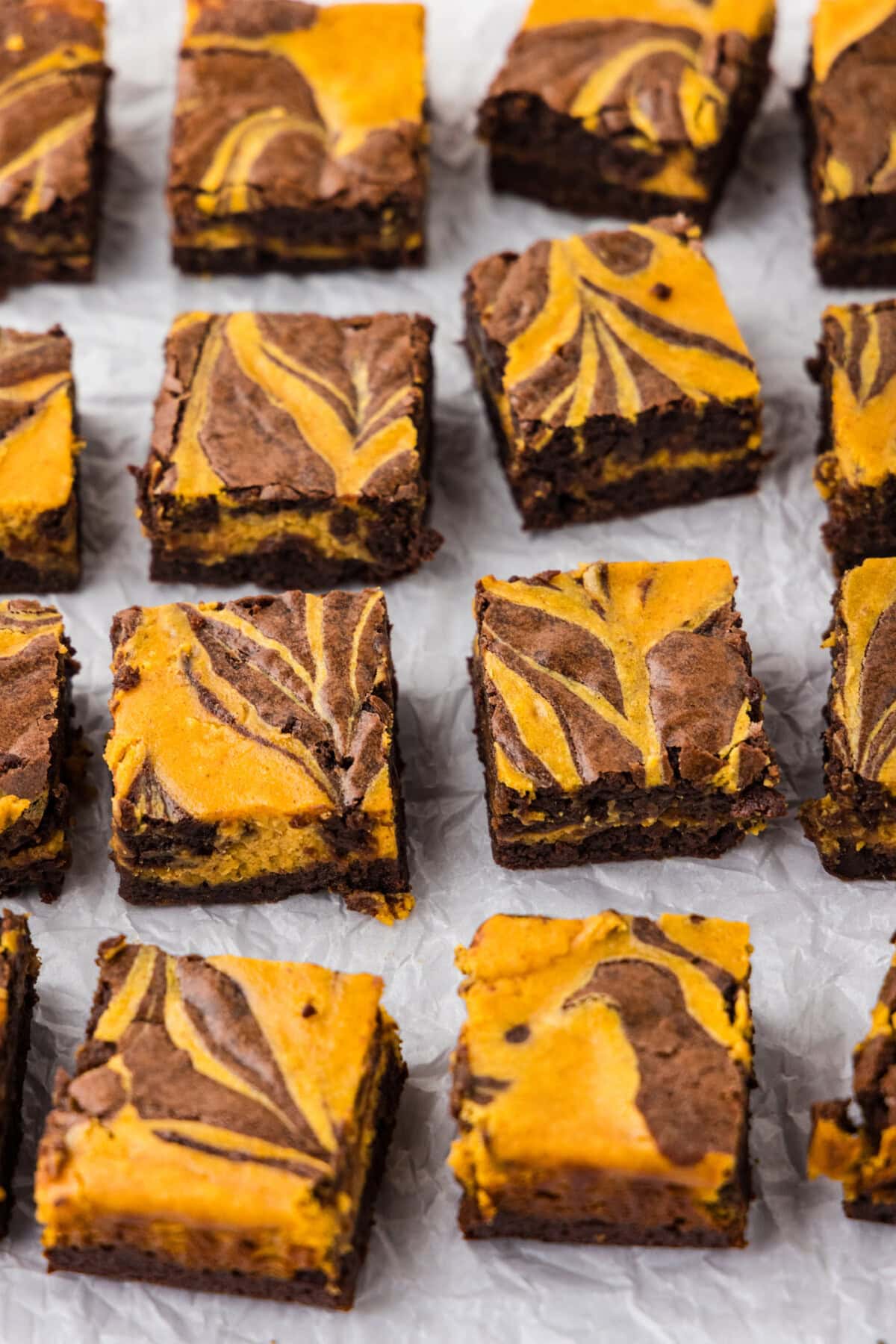 Pumpkin Cheesecake Brownies cut into. squares