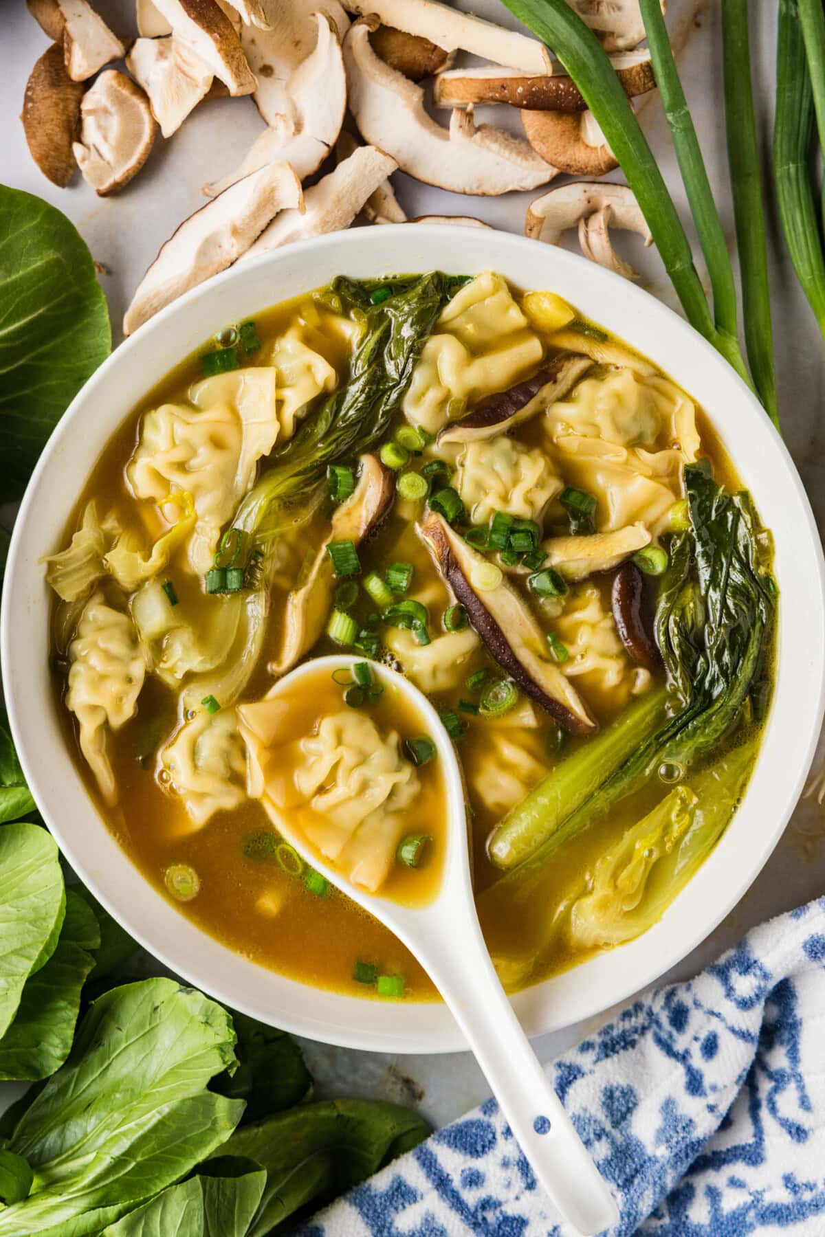 Bowl of Wonton Soup with a spoon in it and green onions, mushrooms and baby bok choy around it