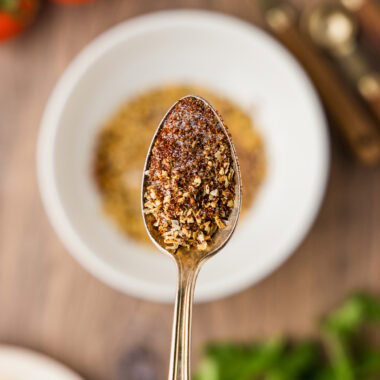 spoon of homemade taco seasoning