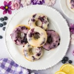 Blueberry Donuts on a white plate