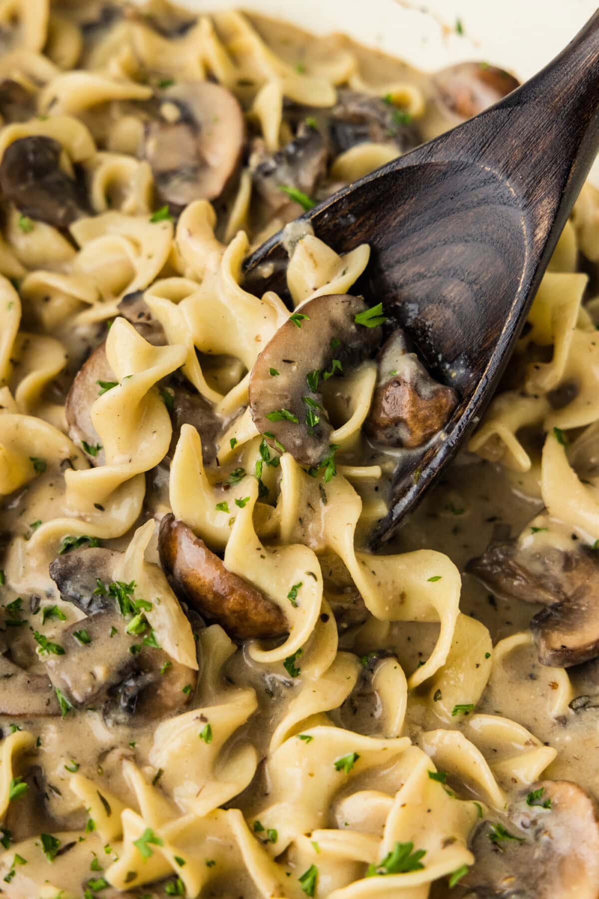 spooning up some Mushroom Stroganoff
