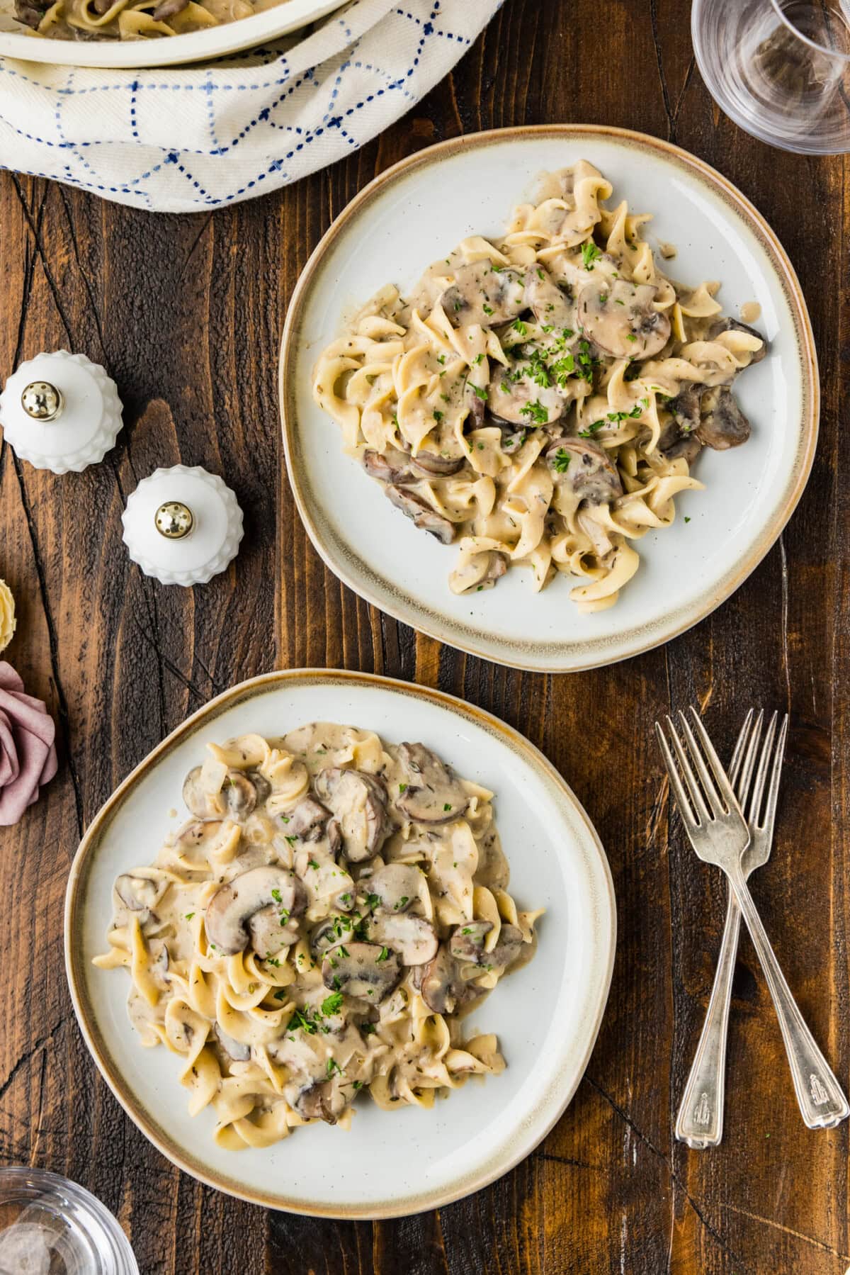 2 plates of Mushroom Stroganoff