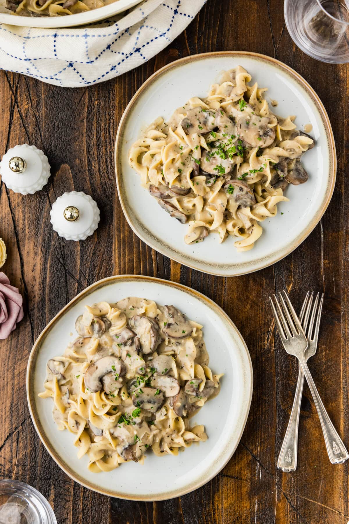 2 plates of Mushroom Stroganoff