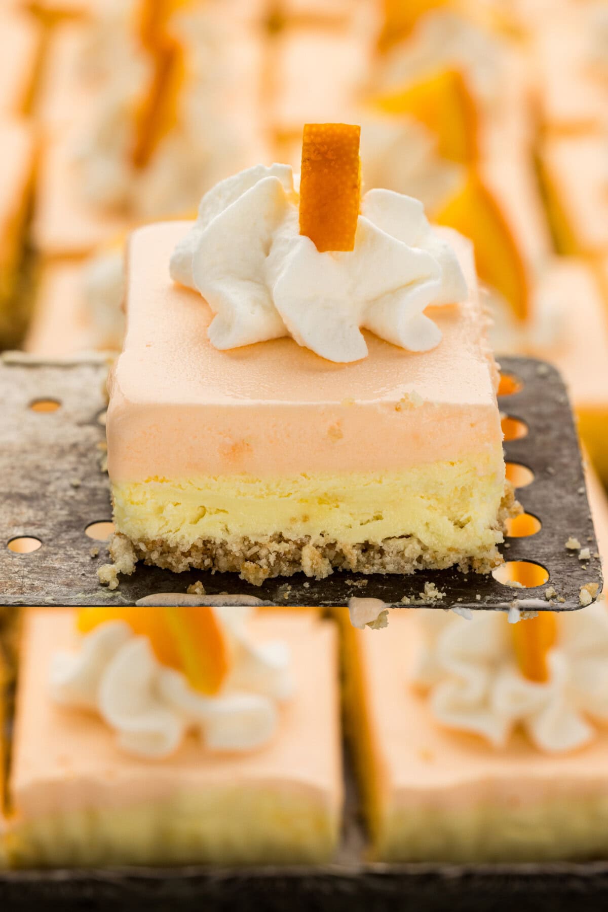 slice of Sherbet Dessert on spatula