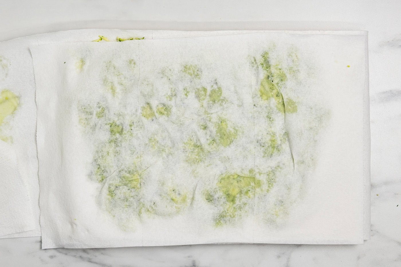 second stage blotting of zucchini