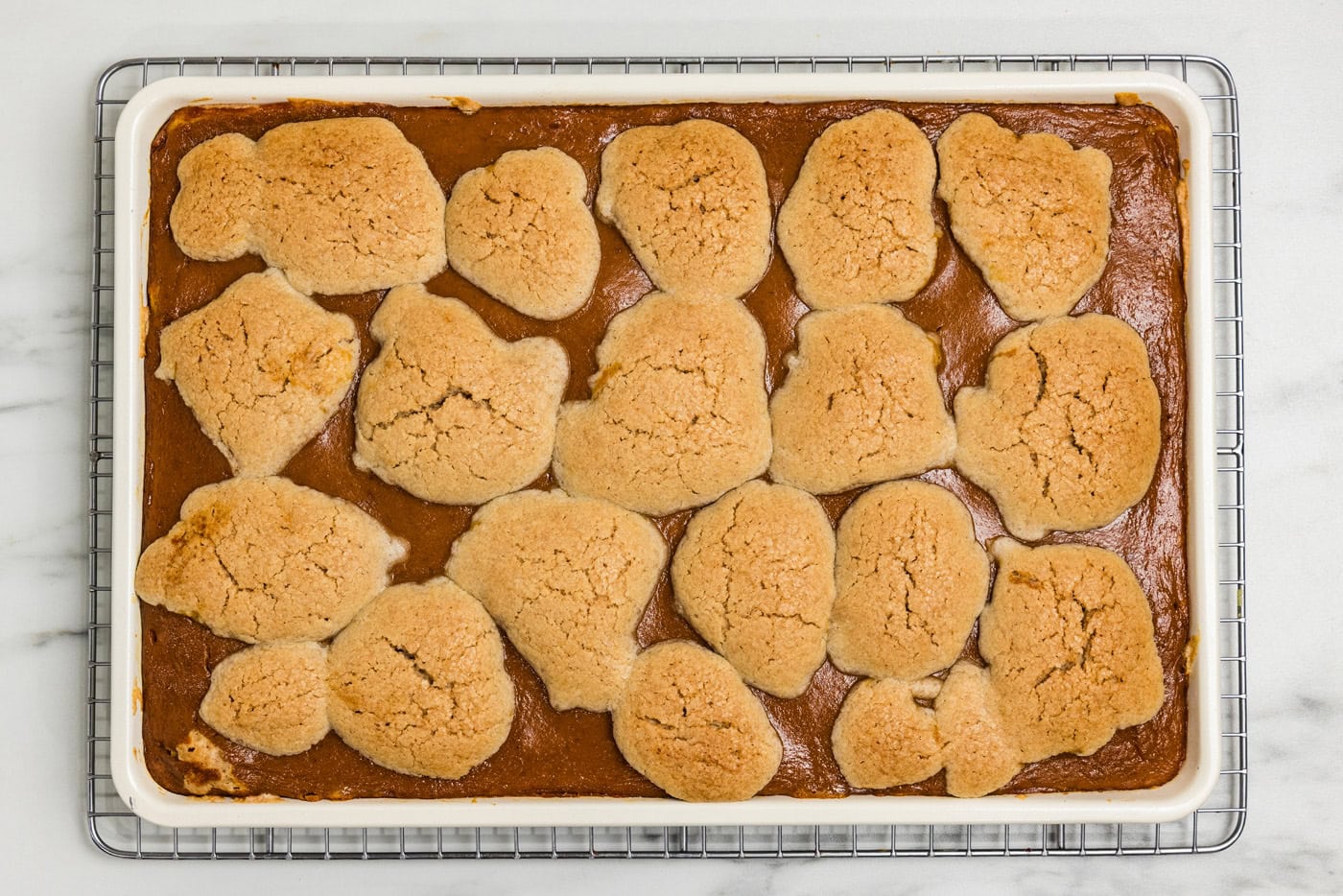 Baked pumpkin squares cooling on a wire rack with pumpkin showing between the golden dollops