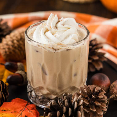 A pumpkin spice mudslide topped with whipped cream and spice, surrounded by pinecones and acorns